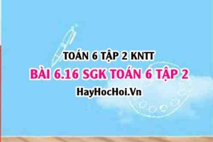 Bài 6.16 SGK Toán 6 tập 2 Kết nối tri thức
